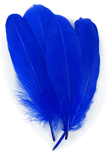 Blue Palette Goose Feathers - 1/4 lb