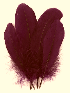 Burgundy Palette Goose Feathers - Mini Pkg