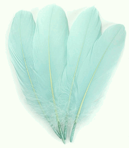 Mint Palette Goose Feathers - lb