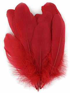 Red Palette Goose Feathers - 1/4 lb