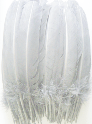 Light Gray Turkey Quill Feathers - Mixed 1/2 lb ON SALE