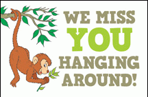 Hanging Around Monkey Postcard