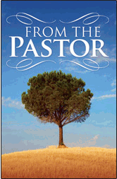 From Your Pastor  Postcard