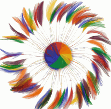 Rooster Hackles Feather Plate Pinwheel