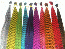 Magenta Hair Extension Grizzly Feathers - Bulk