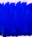 Strung Blue Rooster Neck Hackle Feathers