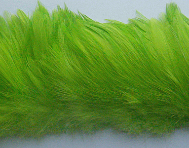Strung Lime Rooster Neck Hackle Feathers