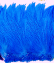Strung Turquoise Rooster Neck Hackle Feathers