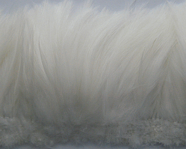 Strung White Rooster Neck Hackle Feathers