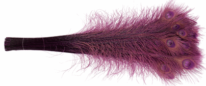 Purple Dyed Peacock Feathers in Bulk