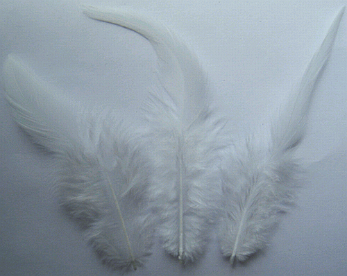 Craft-Feathers-Rooster-Feathers-Rooster-Saddles