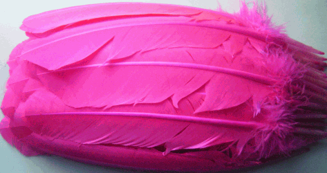 Hot Pink Turkey Quill Feathers - Dozen Left