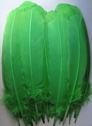 Lime Turkey Quill Feathers - Mixed lb
