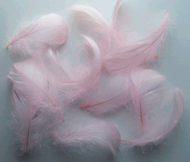 Candy Pink Goose Coquille Feathers