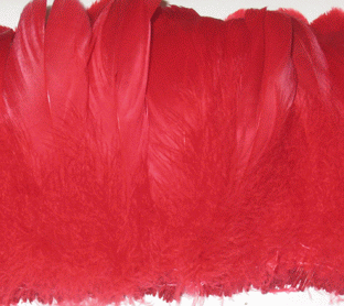 Strung Red Goose Nagoire Feathers - 1/4 lb