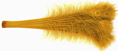 Bulk Gold  Peacock Eye Feathers - 30-35 Inch Bleached & Dyed 100pc