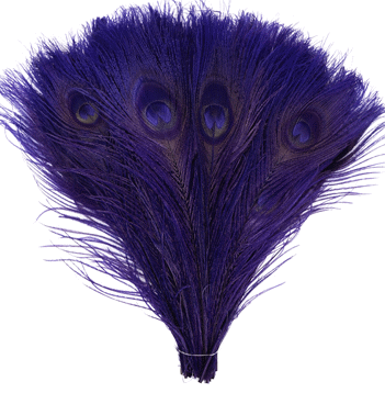 Bulk Regal Peacock Feathers - 8-15 Inch Bleached & Dyed 100pc