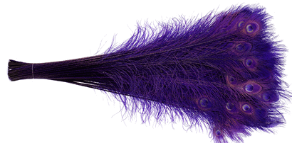 Regal Peacock Eye Feathers - 30-35 Inch Bleached & Dyed 25pc