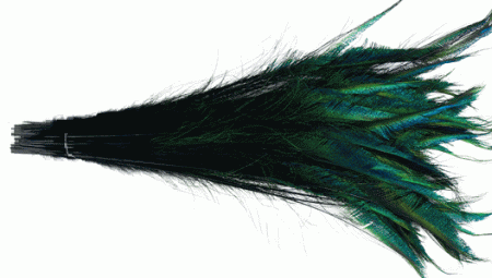Peacock Sword Feathers - Stems Dyed Black - 20-25 100pc