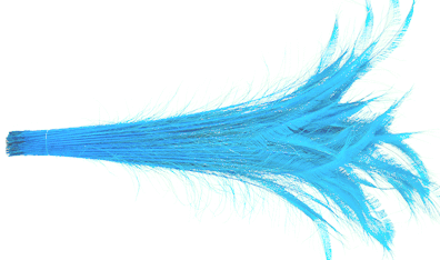 Aqua Peacock Sword Feathers - 30-35 Inch Bleached & Dyed 25pc