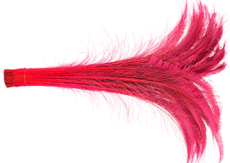 Bulk Fuchsia Peacock Swords Feathers - 20-25 Inch Bleached & Dyed 100pc