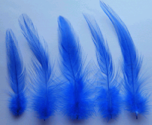 Blue Rooster Hackle Craft Feathers - 1/4 lb