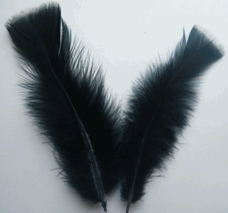 Black Turkey Flat Feathers - 1/4 lb