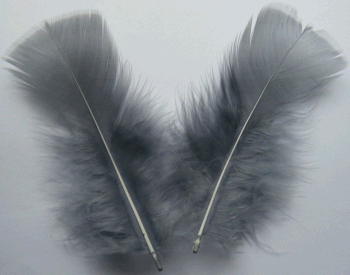 Blu Dun Turkey Plumage Feathers - Mini Pkg