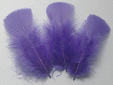Dark Lilac Turkey Plumage Feathers - Mini Pkg