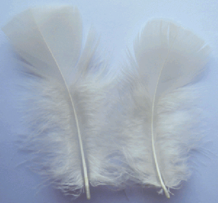 Ivory Turkey Plumage Feathers - Mini Pkg