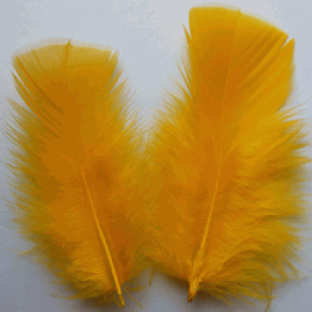 Gold Turkey Plumage Feathers - Bulk lb