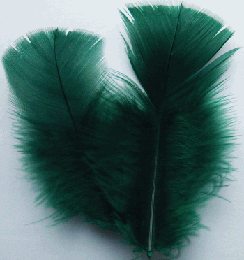 Hunter Green Turkey Plumage Feathers - Mini Pkg