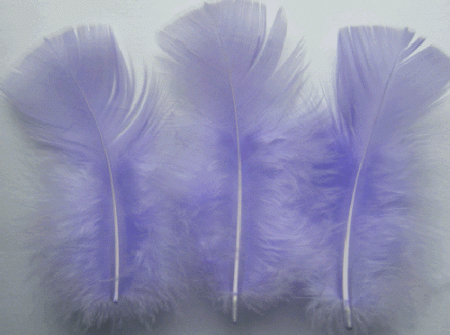 Lavender Turkey Plumage Feathers - Mini Pkg