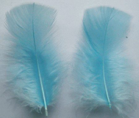 Light Blue Turkey Plumage Feathers - Mini Pkg