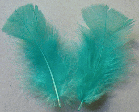 Mint Turkey Plumage Feathers - Mini Pkg