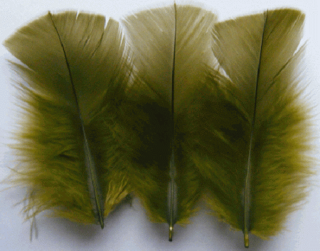 Olive Turkey Plumage Feathers - Mini Pkg