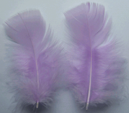Orchid Turkey Plumage Feathers - 1/4 lb