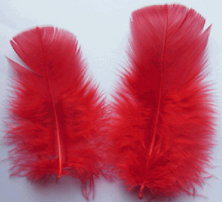 Red Turkey Plumage Feathers - Mini Pkg