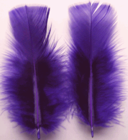 Regal Purple Turkey Plumage Feathers - Mini Pkg