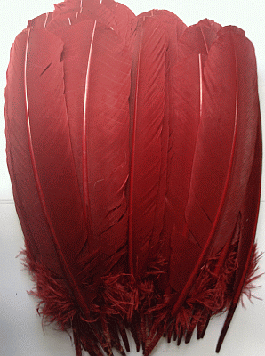 Burgundy Turkey Quill Feathers - Bulk Mixed lb