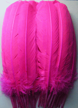 Hot Pink Turkey Quill Feathers - Bulk Mixed lb