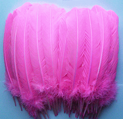 Pink Turkey Quill Feathers - Bulk Mixed lb