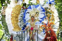 Hispanic Parade Feather Costume