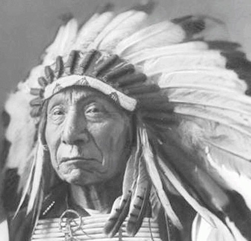 Indian Chief Headdress War Bonnet