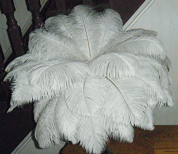 Medium Ostrich Drab Feather Centerpiece Kit - OUT OF SOCK