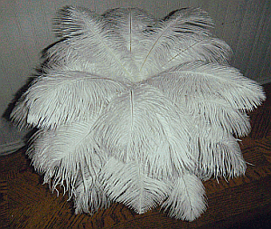 Small Mini Ostrich Drab Feather Centerpiece Kit - OUT OF SOCK
