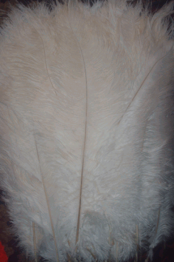2nds - XLarge White Ostrich Drab Feathers - 1/4 lb