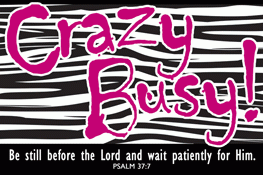 Crazy Busy Zebra Striped Pocket Card