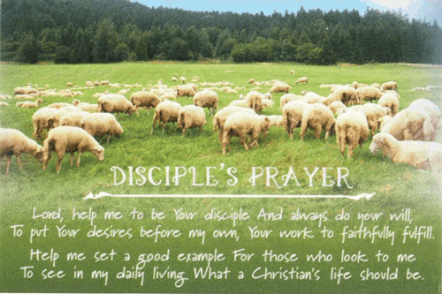 A Disciples Prayer Pocket Card