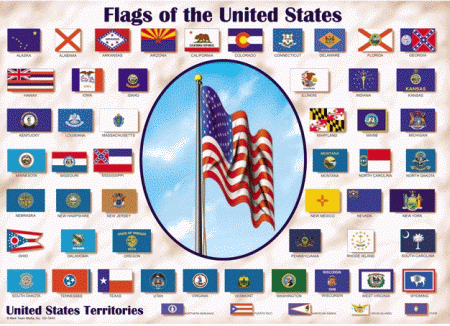 50 US State Flags Picture Chart